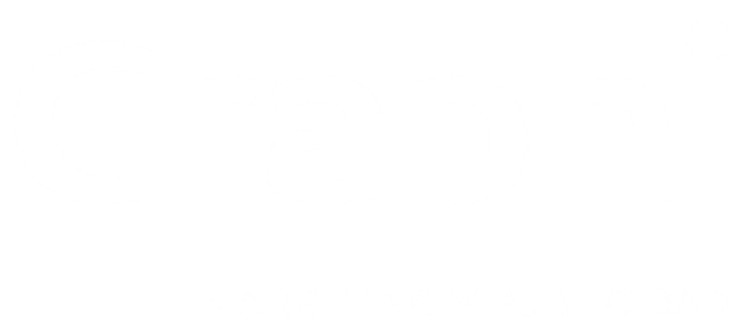 Logo2025